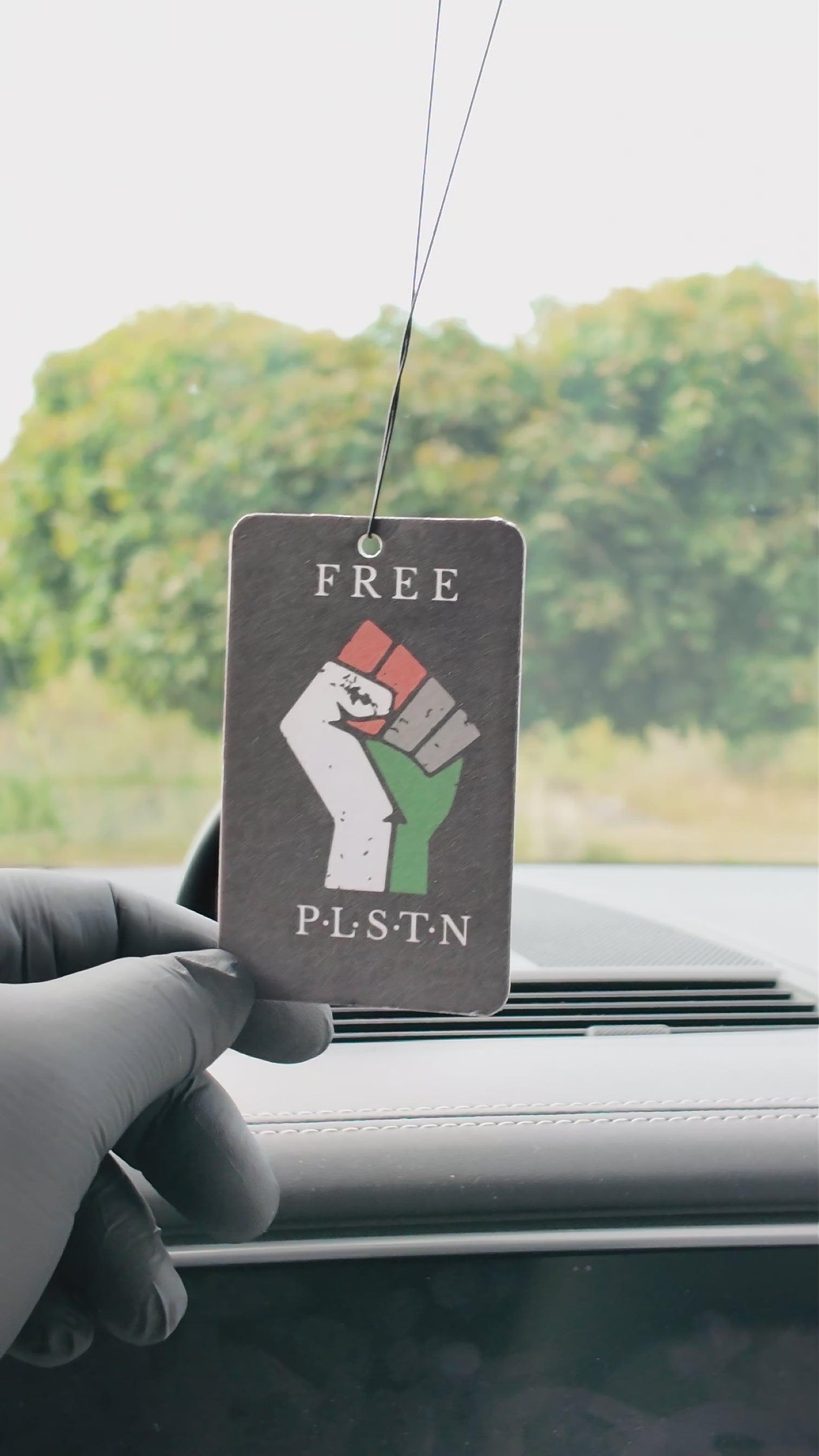 2x Free P.L.S.T.N. Duftbaum  - Flagge
